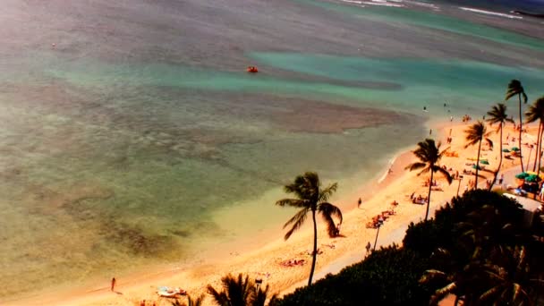 På fritiden på waikiki beach — Stockvideo