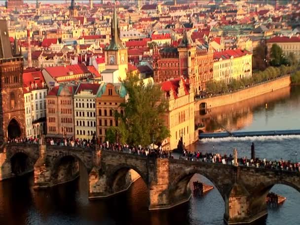 Transporte público en un puente que cruza el río en Praga — Vídeo de stock