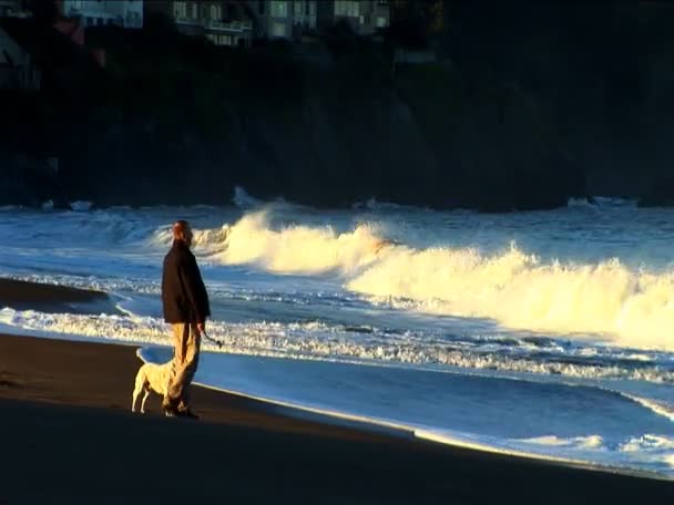 Samotny mężczyzna chodzić jego pies na plaży — Wideo stockowe