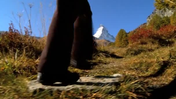 Căderea într-o pajiște alpină Zermatt cu o femeie drumeție & Matterhorn — Videoclip de stoc