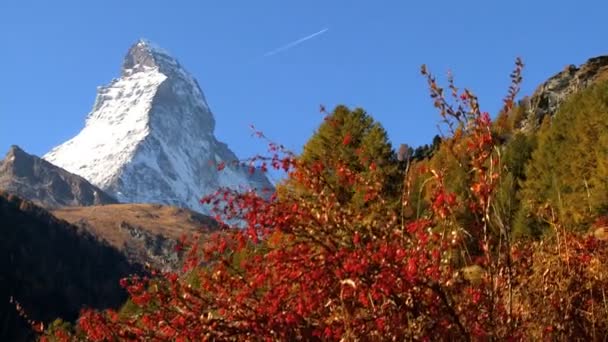 Fall in an alpine meadow Zermatt with the Matterhorn — Stock Footage Fall in an alpine meadow Zermatt with the Matterhorn Stock Video