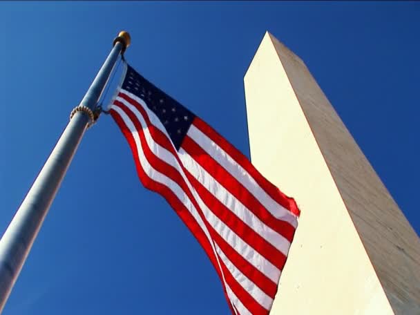 Olhando para o Monumento e bandeiras de Washington — Vídeo de Stock