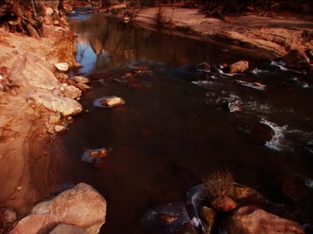 Zoet water rivier in een nationaal park — Stockvideo