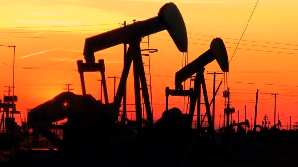 Oil donkeys or pump jacks in perpetual motion at sunset — Stock Video