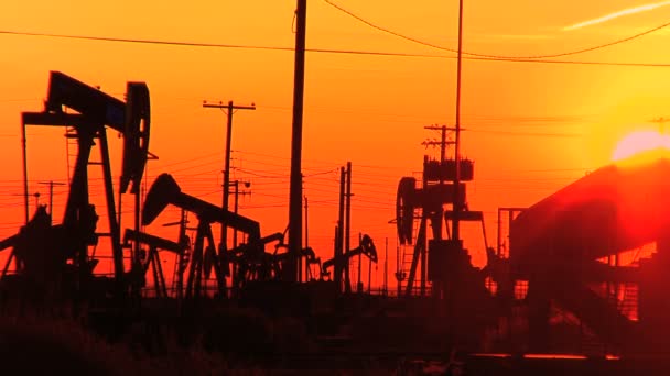 Oil donkeys or pump jacks in perpetual motion at sunset — Stock Video