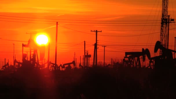 Нефтяные ослы или насосы в вечном движении на закате — стоковое видео