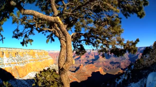 Panoramablick auf Grand Canyon, arizona — Stockvideo