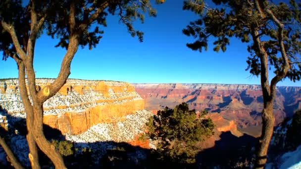 Een panoramisch uitzicht op de grand canyon, arizona — Stockvideo