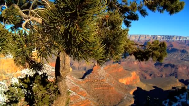 Πανοραμική θέα του grand canyon, Αριζόνα — Αρχείο Βίντεο