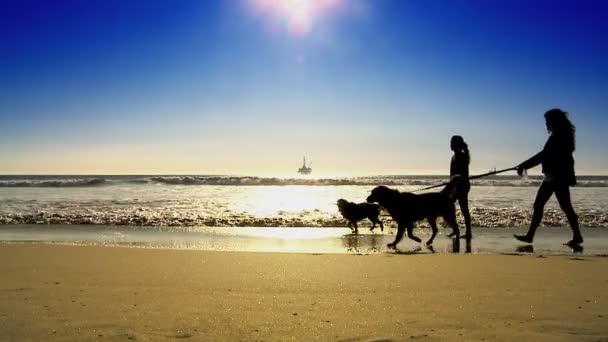 Olie platform op zee met honden wandelen in silhouet — Stockvideo