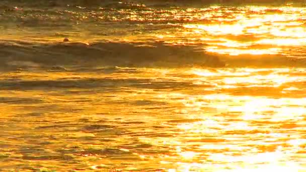Σέρφινγκ κύματα στο ηλιοβασίλεμα — Αρχείο Βίντεο