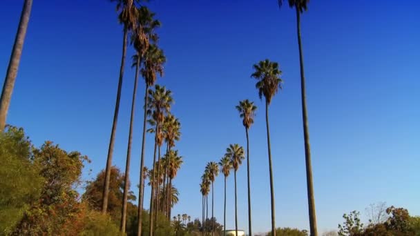 Point-of-view driving along the Pacific Coast — Stock Video