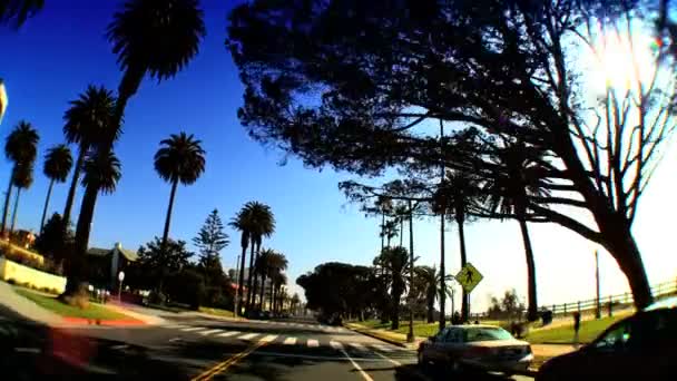 Point-of-view with fish-eye driving along the Pacific Coast — Stock Video