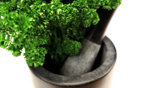 Studio close-up of fresh vegetables with pestle & mortar — Stock Video