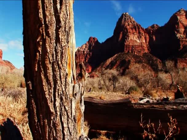 La belleza de la naturaleza en un parque nacional — Vídeo de stock