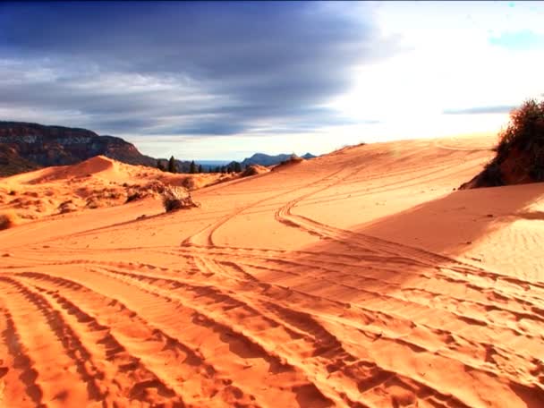 Pistes de véhicules sur les dunes de sable dans le parc national — Video