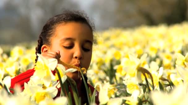 Lindo niño afroamericano jugando en un campo de narcisos — Vídeos de Stock