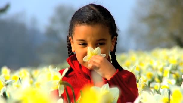 Lindo niño afroamericano jugando en un campo de narcisos — Vídeo de stock