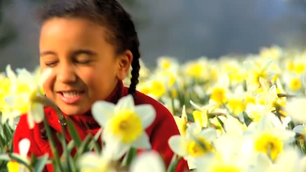 Cute african american child playing in a field of daffodils — Stock Video