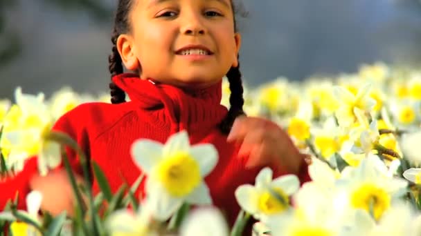 Schattig Afro-Amerikaanse kind spelen in een veld van narcissen — Stockvideo