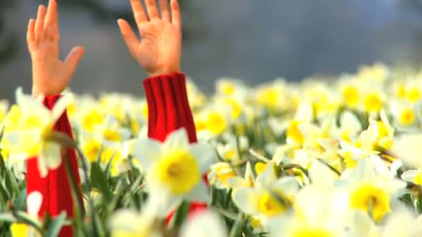 Lindo niño afroamericano jugando en un campo de narcisos — Vídeos de Stock