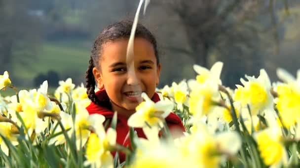 Bonito criança afro-americana brincando com balões em um campo de narcisos — Vídeo de Stock