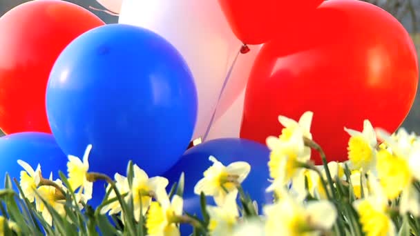 Carino bambino afroamericano che gioca con palloncini in un campo di narcisi — Video Stock