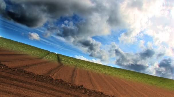 Dramatiska time-lapse av moln & grödor växer i ett fält — Stockvideo