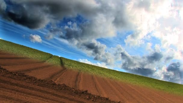 Dramatic time-lapse of clouds & crops growing in a field — Stock Video