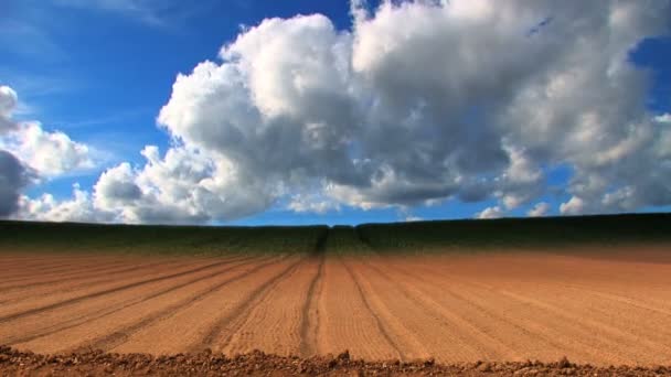 Dramatic time-lapse of clouds & crops growing in a field — Stock Video