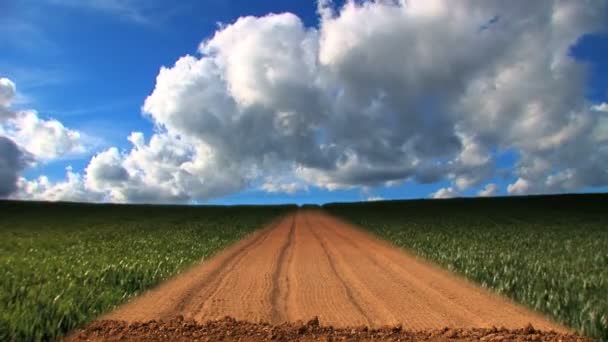 Dramatic time-lapse clouds over a field of growing wheat — Stock Video