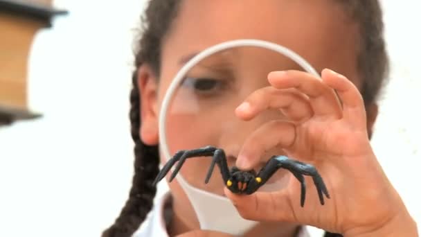 Carino africano americano studentessa esamina un ragno di plastica — Video Stock