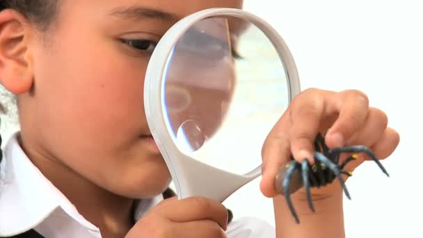 Linda afroamericana colegiala examina una araña de plástico — Vídeos de Stock