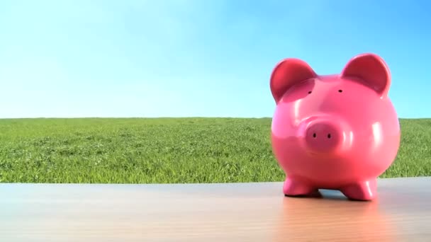 Coup de concept de porc d'argent d'investissement vert dans l'avenir un environnement — Video