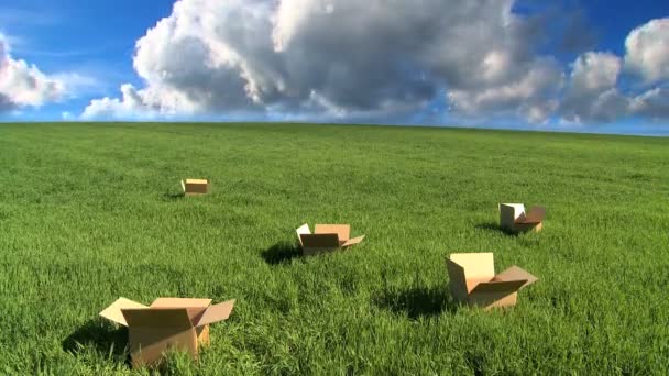 Time-lapse concept shot de boîtes vides dans le domaine de l'environnement — Video