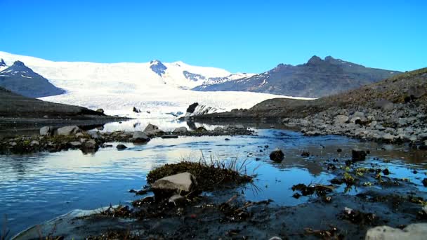 Melting water from Vatnajokull Glacier flowing into a glacial lake — Stock Video