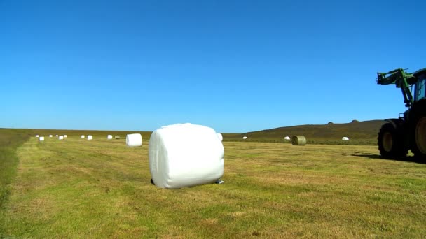 El agricultor empacando el cultivo cosechado — Vídeos de Stock