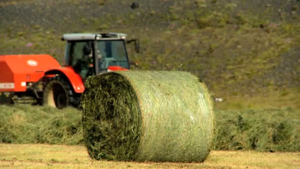 Farmer baling the harvested crop — Stock Video