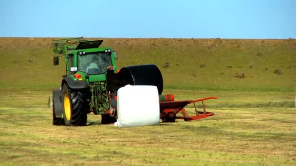 El agricultor empacando el cultivo cosechado — Vídeo de stock