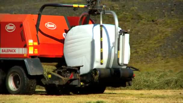 El agricultor empacando el cultivo cosechado — Vídeo de stock