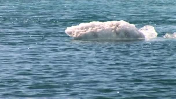 Ледниковый айсберг медленно тает в озеро из-за глобального потепления — стоковое видео