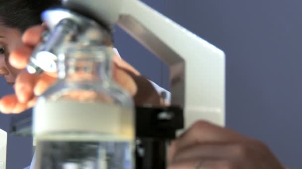 Zdravotník pracující v laboratoři s mikroskopem — Stock video