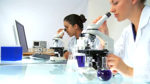 Ricercatrici che lavorano in laboratorio al microscopio — Video Stock