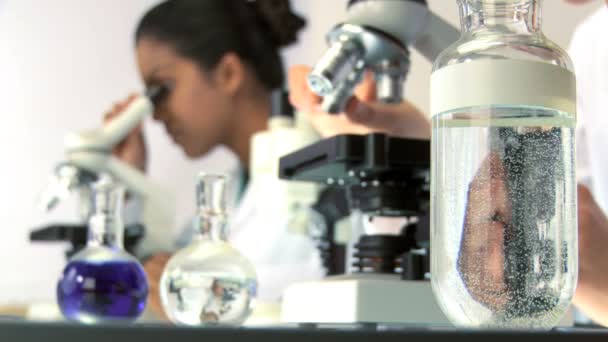 Investigadoras que trabajan en laboratorio con microscopio — Vídeo de stock