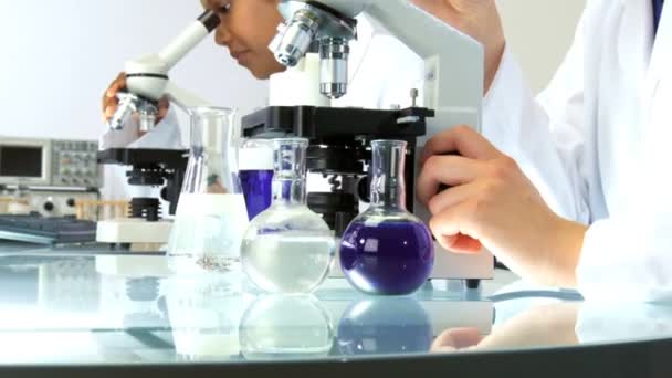 Investigadoras que trabajan en laboratorio con microscopio — Vídeo de stock