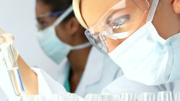 Female scientist examines a test tube — Stock Video