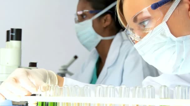 Vrouwelijke onderzoekers werken in een laboratorium, close-up — Stockvideo