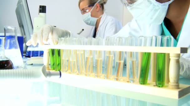 Medische professionals die werkzaam zijn in laboratorium — Stockvideo