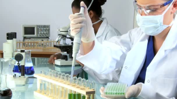 Mediziner arbeiten im Labor — Stockvideo