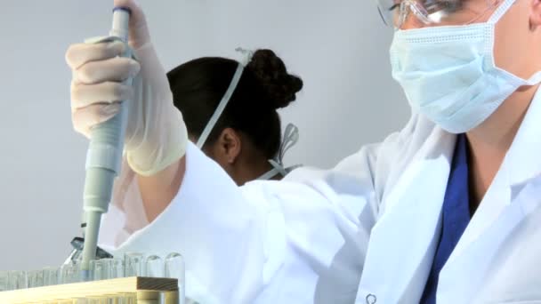 Медицинские работники, работающие в лаборатории — стоковое видео